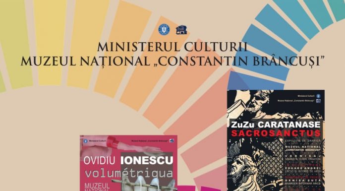 Târgu Jiu: Muzeul Brâncuși, deschis de „Noaptea Muzeelor”. Programul!
