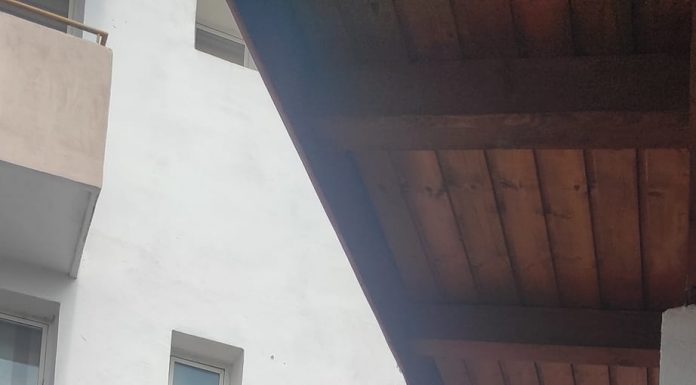 Șefa Casei de Pensii Gorj, la București cu 500 de dosare de pensionare pe Legea 197