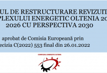 Planul de restructurare, pe site-ul CEO