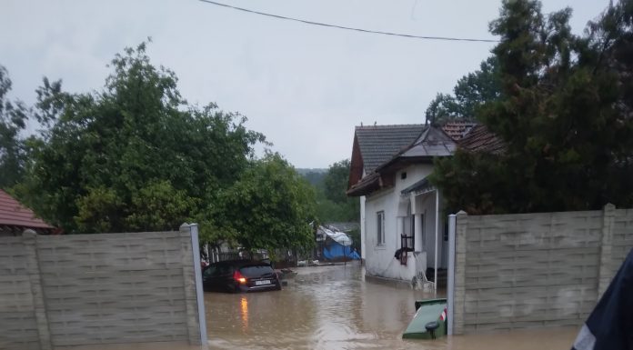 Zeci de locuințe inundate la Aninoasa! Autoritățile, în alertă