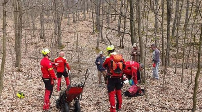 Au cerut ajutorul salvamontiștilor