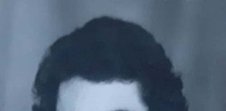 Politicele lui H.-R. Patapievici și istoria românilor!