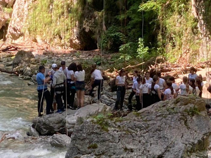 352080629_1979864419028481_4723954915236006960_n