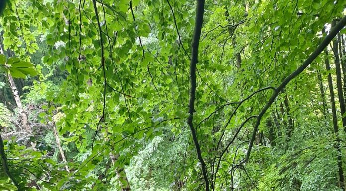 VIDEO/FOTO: Bărbatul căzut cu mașina în râpa de aproximativ 40 de metri a fost găsit decedat