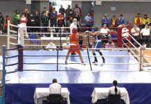 Regal pugilistic la Târgu-Jiu