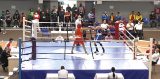 Regal pugilistic la Târgu-Jiu