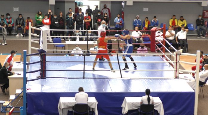 Regal pugilistic la Târgu-Jiu