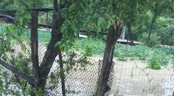 Foto: Lupoița inundată! Gospodarii acoperite de apă și nămol