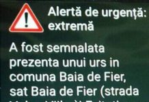 Mesaj RO-ALERT la Baia de Fier. A fost semnalată prezența unui urs