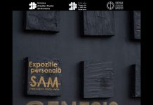 Expoziție de arte vizuale, joi, la Târgu Jiu