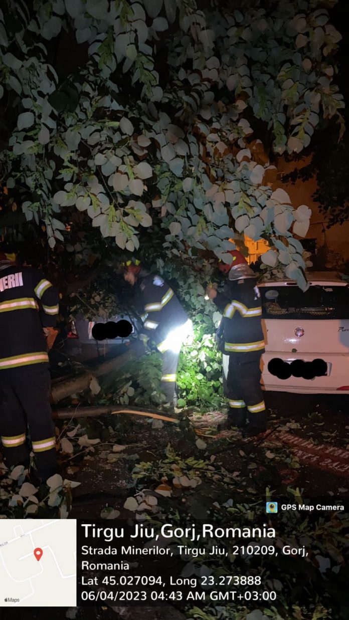 WhatsApp Image 2023-06-04 at 10.01.22