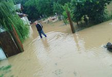 VIDEO: Inundații puternice la Crușeț, Turburea și Săulești!