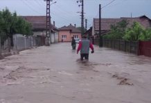 Ajutoare de urgență de la Guvern