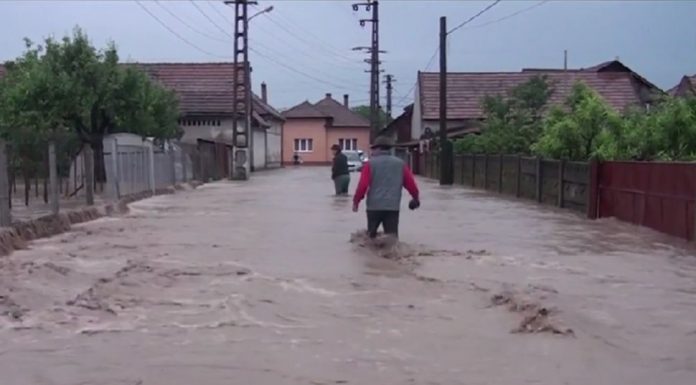 Ajutoare de urgență de la Guvern