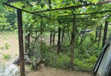 Gorj, inundații: Peste 15 apeluri la 112!