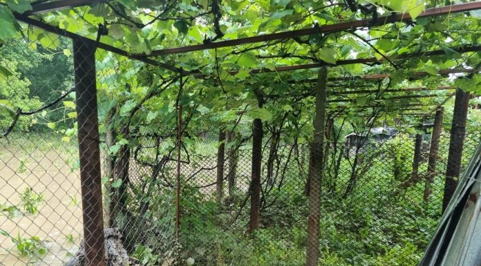 Gorj, inundații: Peste 15 apeluri la 112!