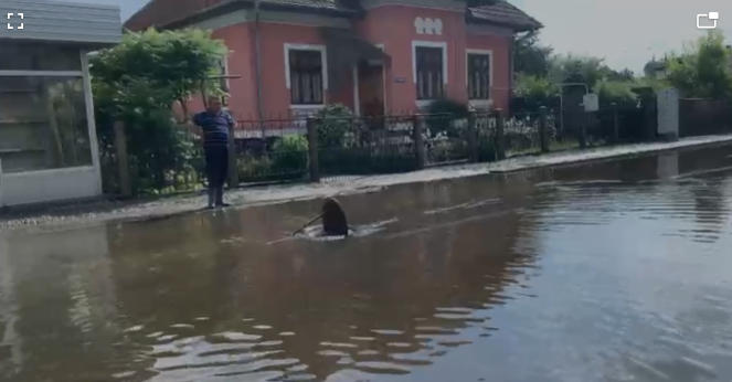 Târgu Jiu: Șuvoaie pe străzile din oraș