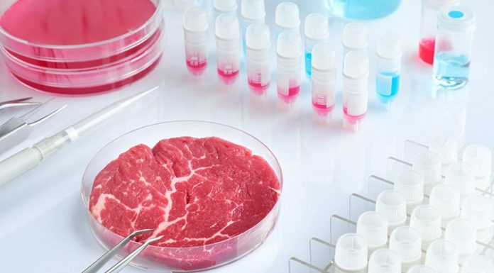 PSD vrea să interzică prin lege comercializarea cărnii sintetice