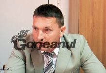 Primarii PSD susțin proiectul senatorului Iordache de deblocare a retrocedării pădurilor