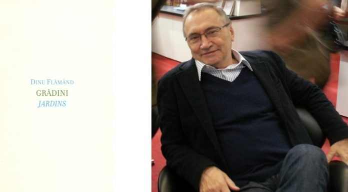 Poeți români contemporani și cărțile lor esențiale – Dinu Flămând: Grădini / Jardins