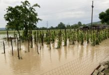 Gospodării inundate în alte trei comune din Gorj