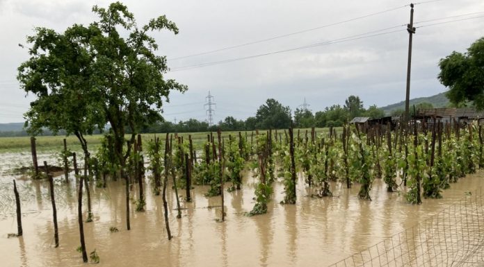 Ciolacu: Despăgubirile să ajungă la oameni cât mai curând