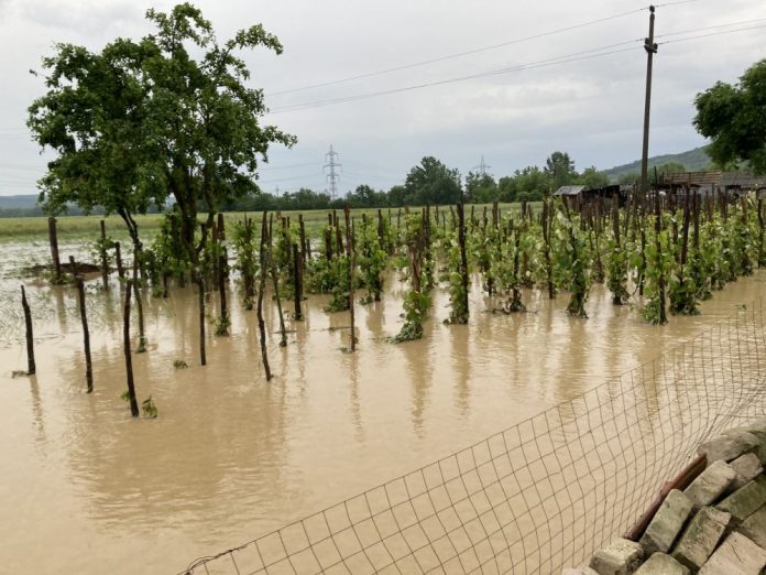 Ciolacu: Despăgubirile să ajungă la oameni cât mai curând