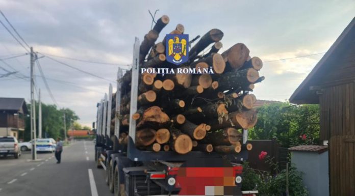 Material lemnos, confiscat de polițiști de la o societate din Bengești-Ciocadia