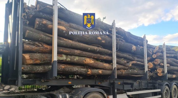 Lemne fără acte, confiscate de poliție