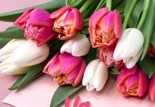 Mesaj de mulțumire adresat unui medic de la Spitalul Județean