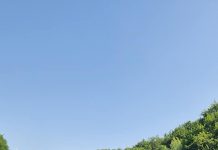 Amendați pentru că au pescuit în prohibiție