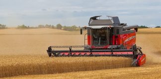 Agricultura pe înțelesul tuturor – Graficul lucrărilor agricole în luna iulie