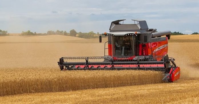 Agricultura pe înțelesul tuturor – Graficul lucrărilor agricole în luna iulie