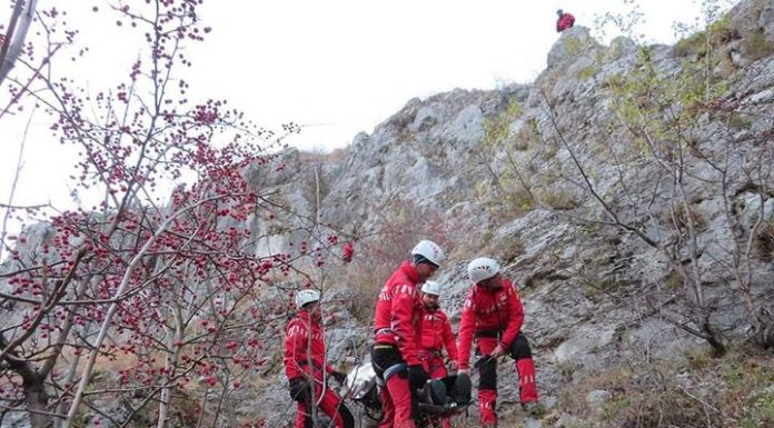 Este Ziua Internațională a Salvatorului Montan!