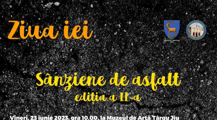 „Sânziene de asfalt”. Șezătoare urbană la muzeu