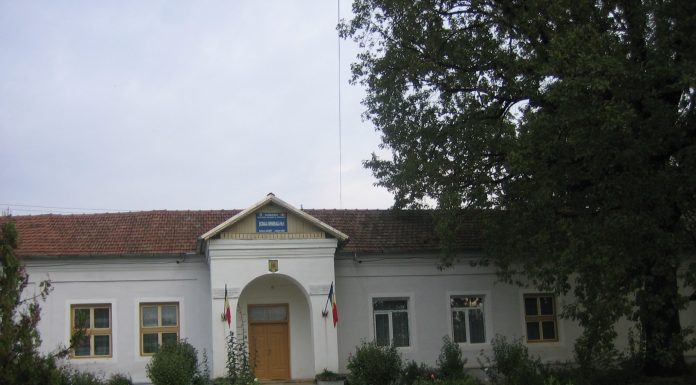 Angajare la o școală din Gorj