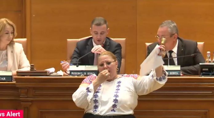 Parlamentarii și-au tăiat pensiile speciale. Diana Șoșoacă, scandal în parlament
