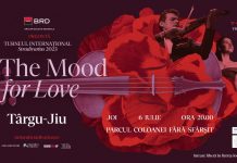 Turneul Stradivarius „In the Mood for Love”, la Târgu Jiu