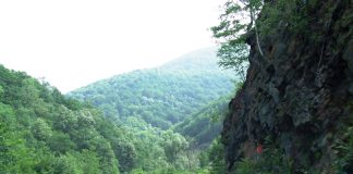 Din nou pe unda bătrânului Rhabon