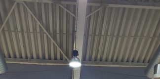 Trei gorjeni au luat aurul la Cupa României