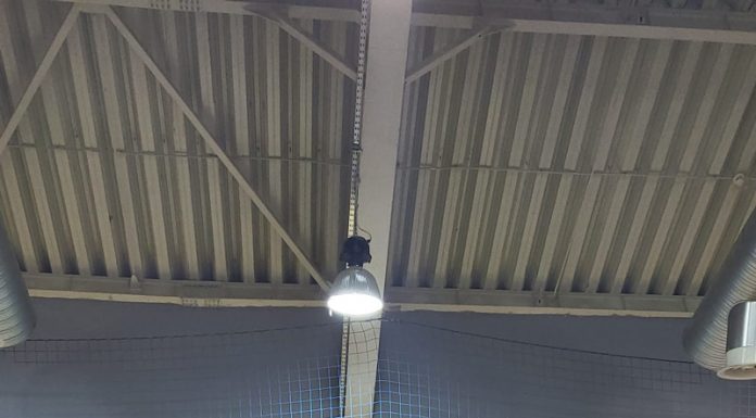 Trei gorjeni au luat aurul la Cupa României