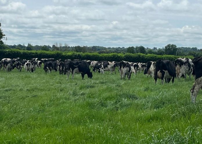 356933280_204808905864497_1841673498181021104_n