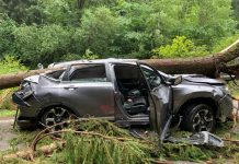 Tragedie pe Transalpina! Primele victime din cauza furtunilor violente. O femeie și-a pierdut viața în mașina peste care a căzut un arbore