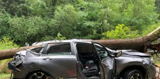 Tragedie pe Transalpina! Primele victime din cauza furtunilor violente. O femeie și-a pierdut viața în mașina peste care a căzut un arbore