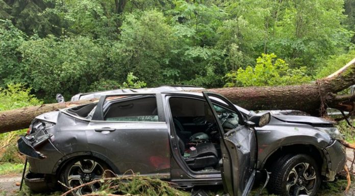 Tragedie pe Transalpina! Primele victime din cauza furtunilor violente. O femeie și-a pierdut viața în mașina peste care a căzut un arbore