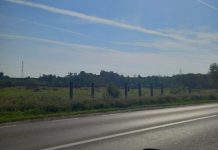 Întreaga plantație de nuci de la Bârsești, defrișată! SURSE: Doi afaceriști controversați vor ridica un cartier irlandez de case