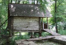 Din nou călător în umbra Vâlcanului