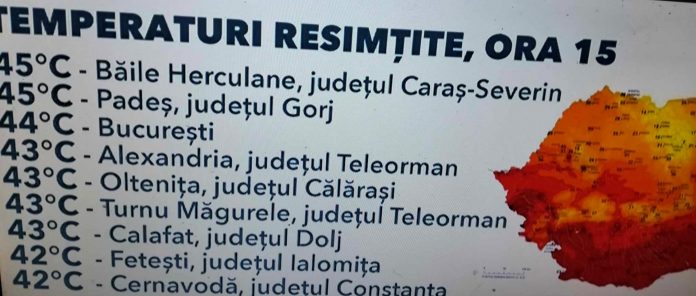 +45 de grade resimțite în Gorj