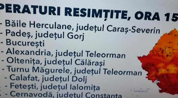 +45 de grade resimțite în Gorj