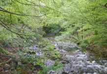 Din nou spre Bordul Dobriţei Gorjene